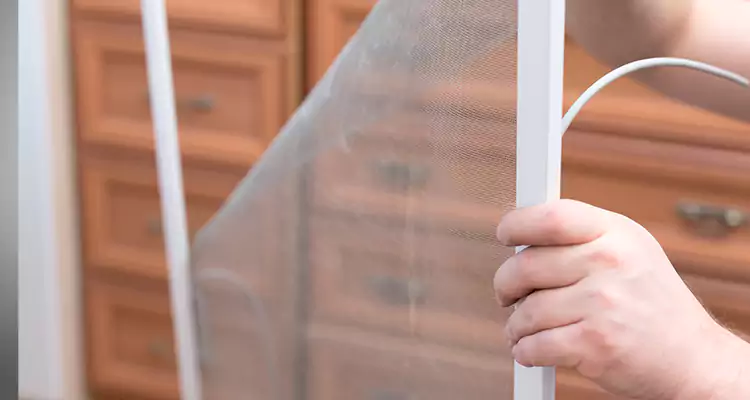 Privacy Mesh Screen Door Installation in El Cerrito, CA