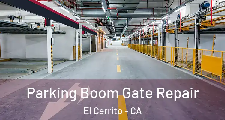  Parking Boom Gate Repair El Cerrito - CA