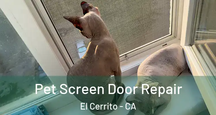  Pet Screen Door Repair El Cerrito - CA